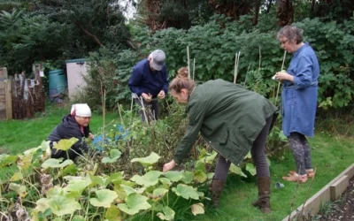 Community Allotment