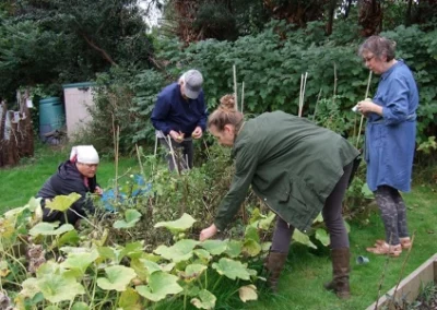 Community Allotment